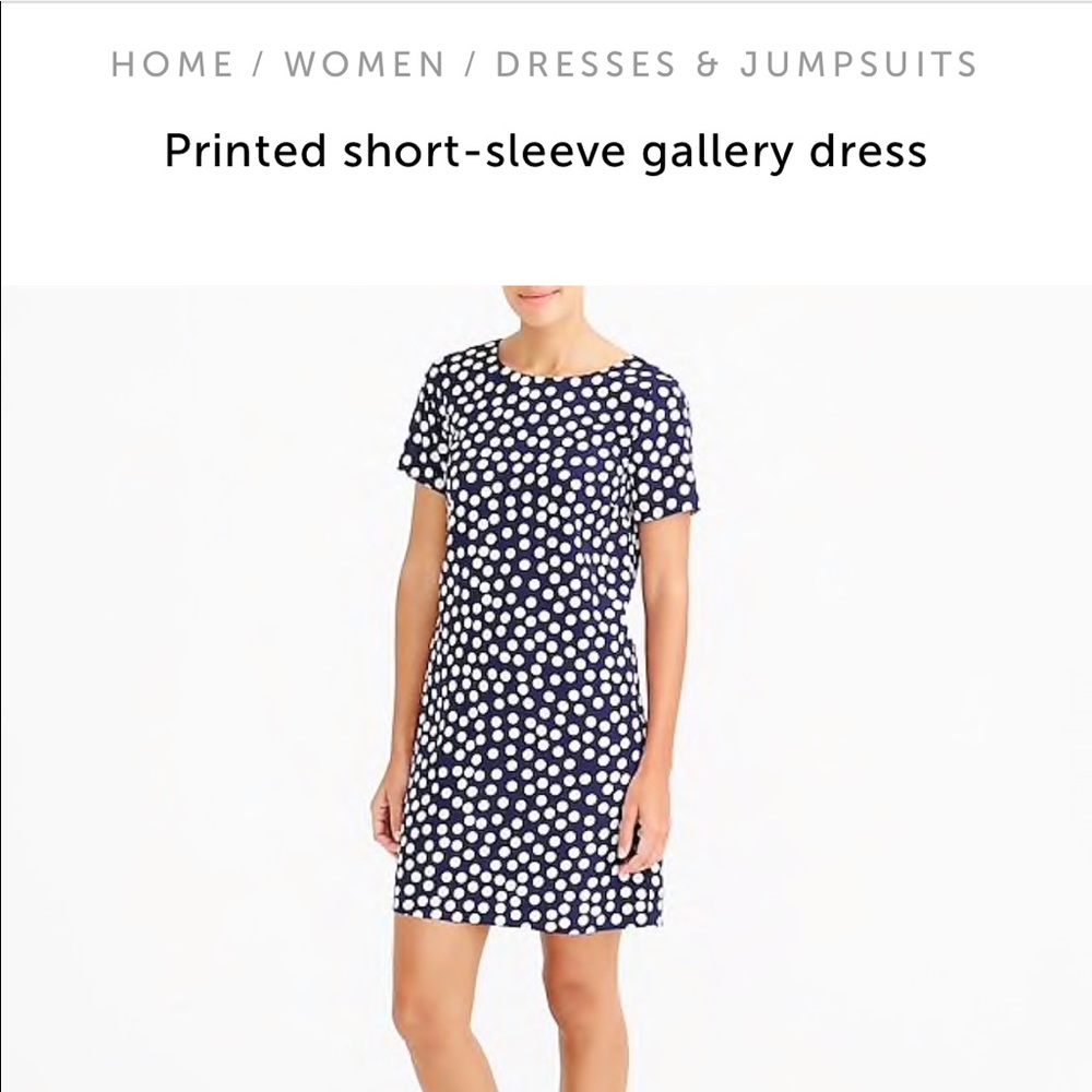 J. Crew Factory Gallery Dress Sz 6